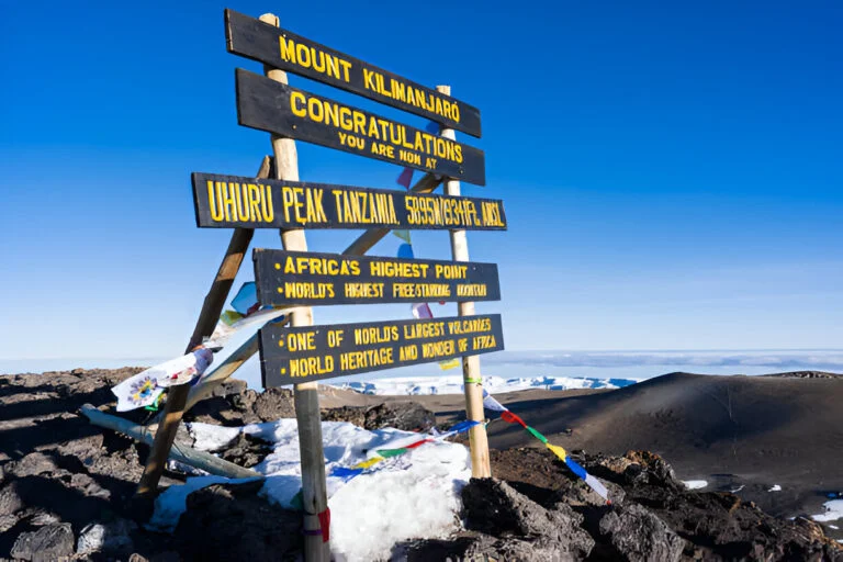 7 Days Kilimanjaro Rongai Route