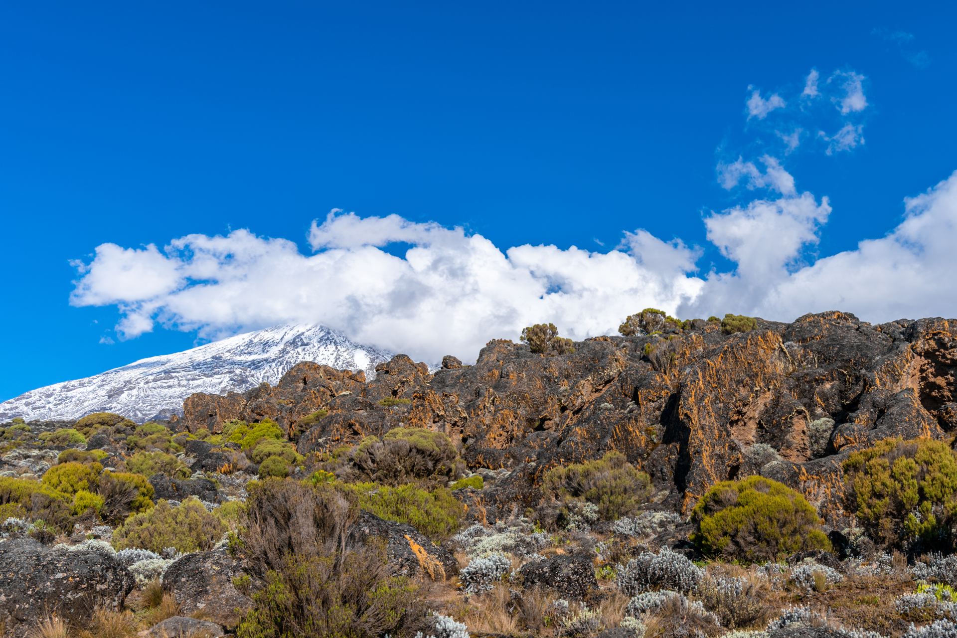 East African landscape spanning Tanzania and Kenya