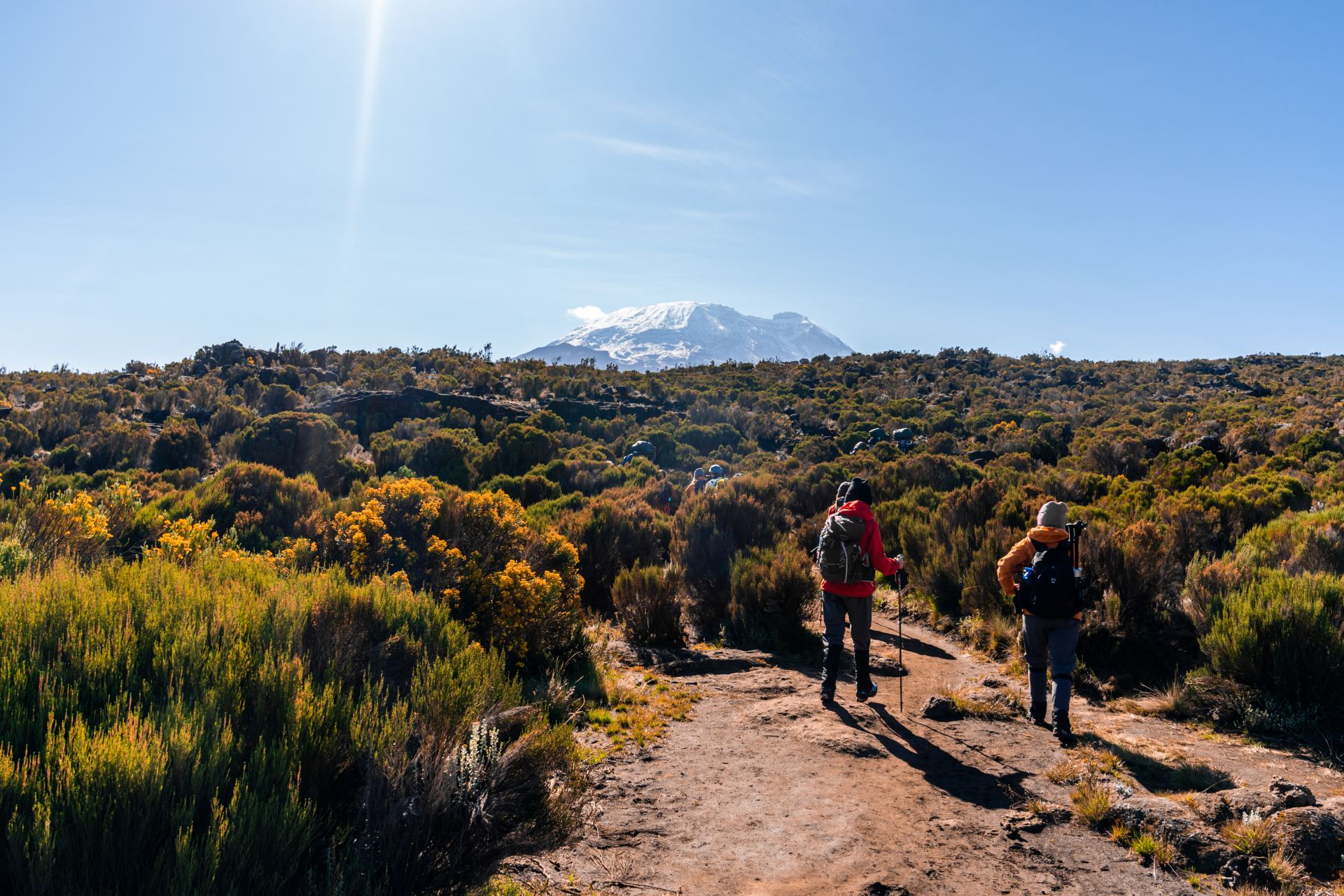 Walking Safaris in Tanzania: An Authentic & Thrilling Experience 2025-2026