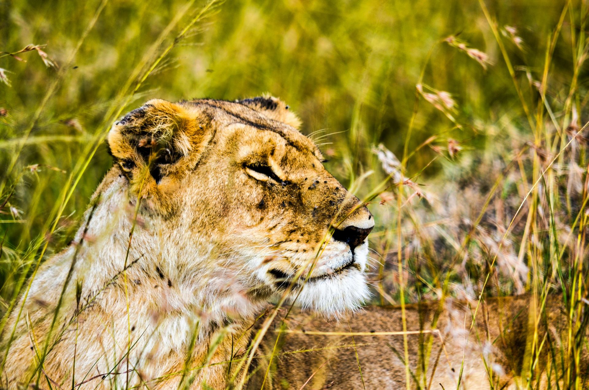 Family-Friendly Tours