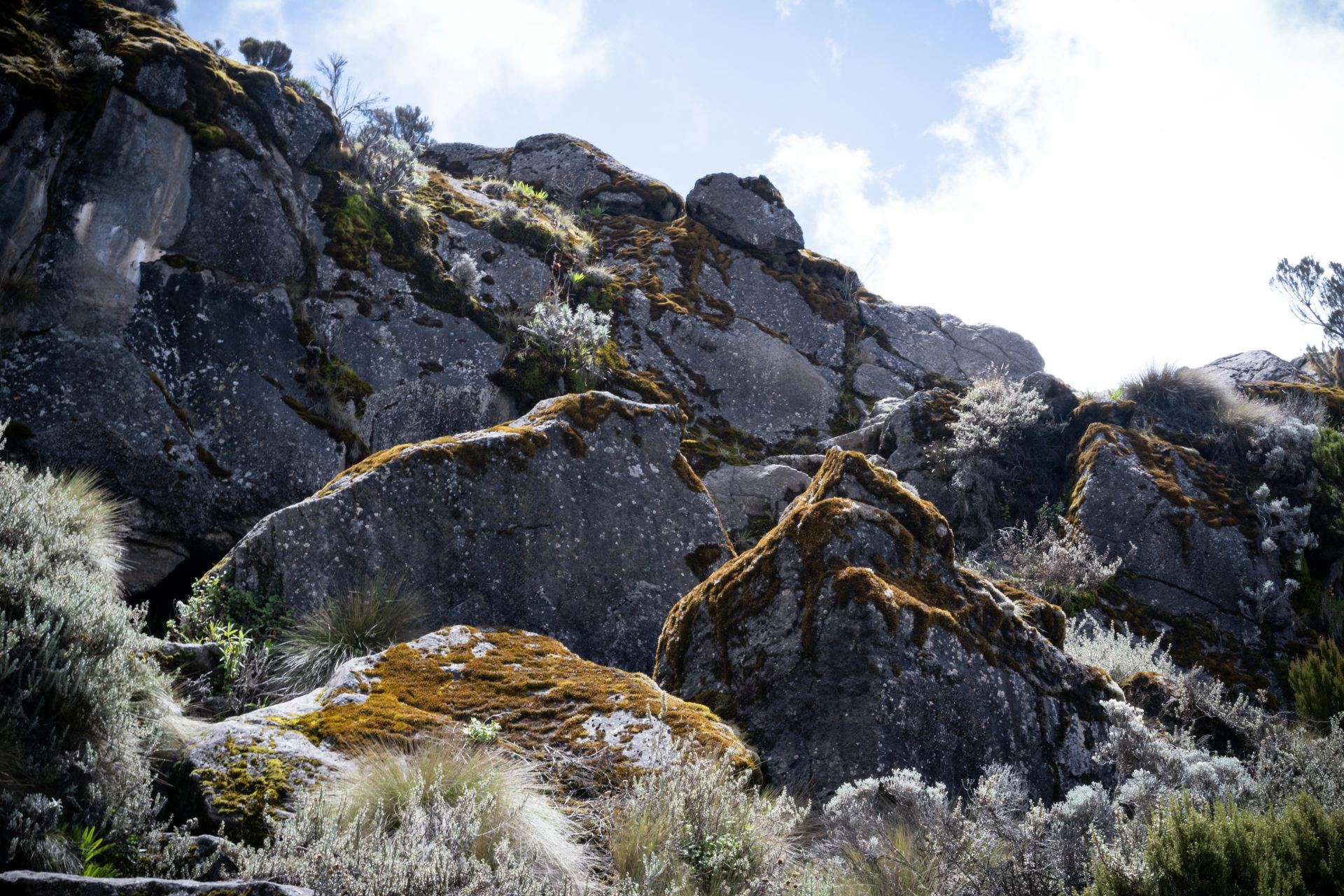 6 Days Kilimanjaro Marangu Route