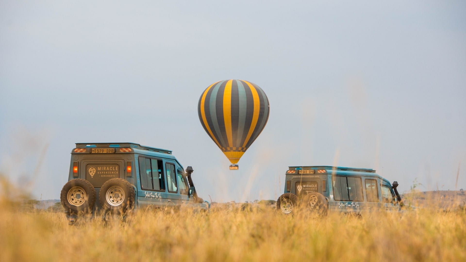 Yellow Fever & Health-Related Entry Requirements for Tanzania Visitors