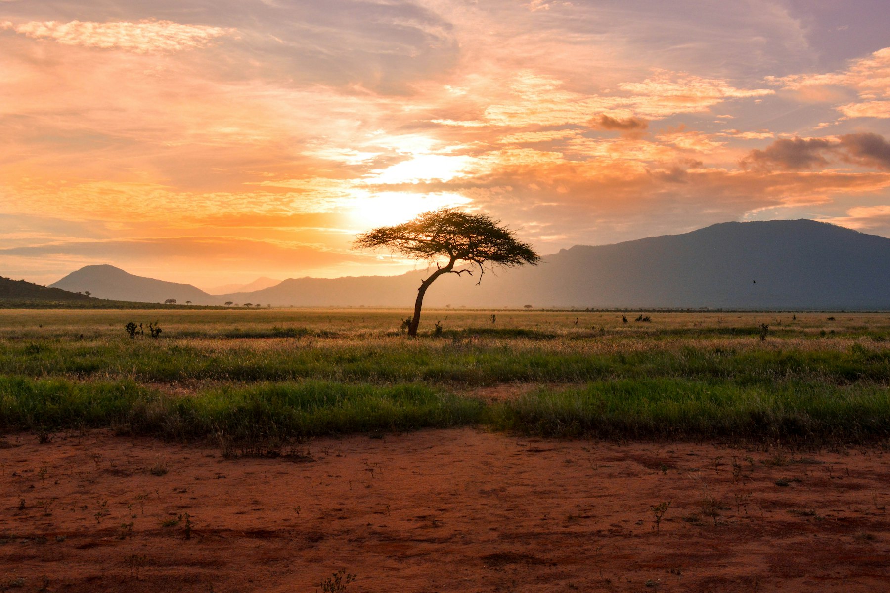 3-Day Serengeti Fly in - Adventure (Zanzibar Start/End)
